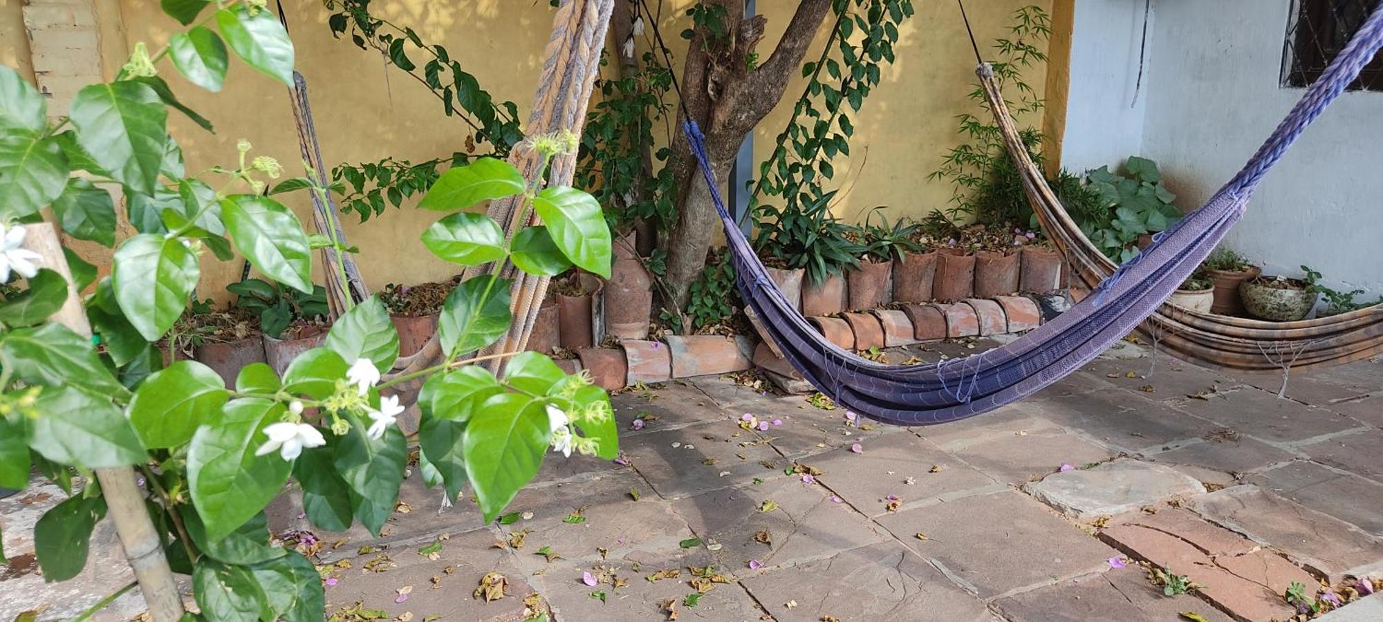 Mediterraneo Youth Hostel Asuncion Bagian luar foto
